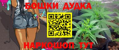 мдпв Дубна
