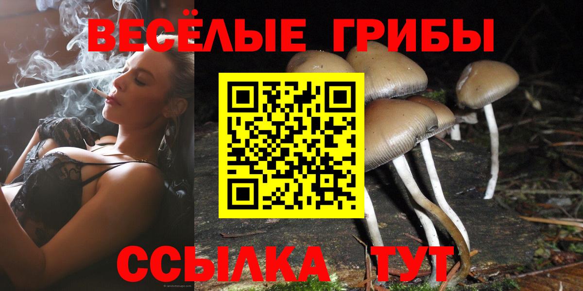 Галлюциногенные грибы прущие грибы  Вход с VPN  Чусовой  Псилоцибиновые грибы Psilocybe 