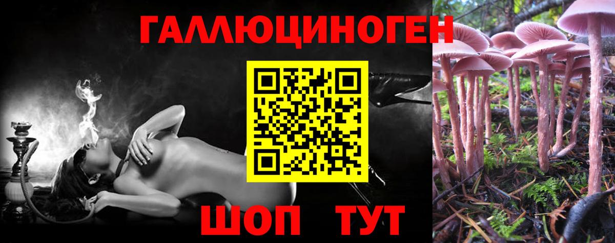 Галлюциногенные грибы мухоморы Чусовой